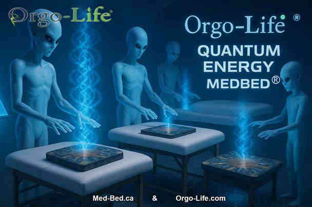 Yet after testing the StarGate UL-3777 Orgo-Life Quantum Tablet, something unexpected happened.